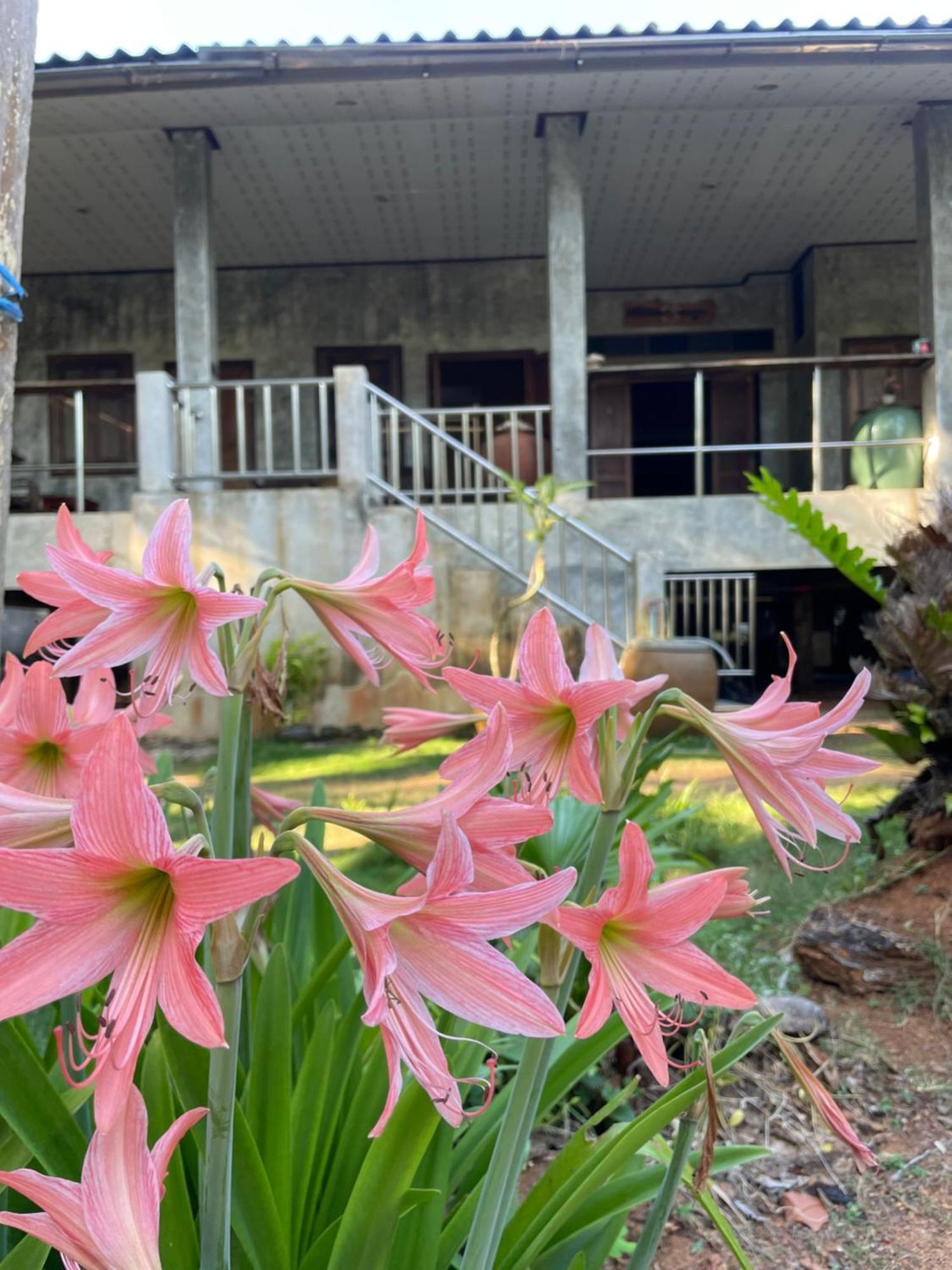 Baanyaiguesthouse Koh Mak Luaran gambar